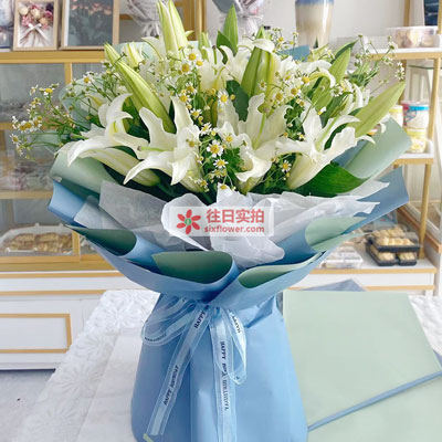 滁州8支白色多头百合洋甘菊，互倾的思念