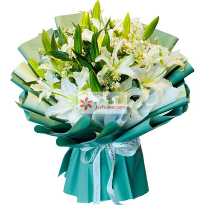 滁州8支白色多头百合洋甘菊，如潮的思念